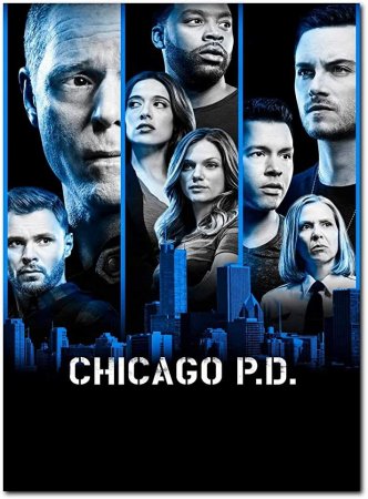 Полиция Чикаго (10 сезон)